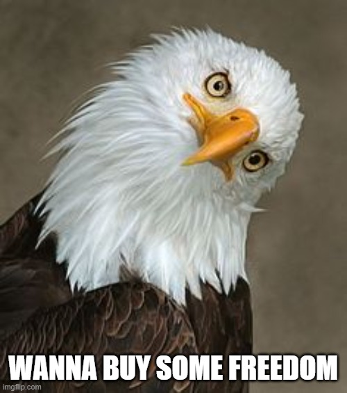 bald eagle tilt | WANNA BUY SOME FREEDOM | image tagged in bald eagle tilt | made w/ Imgflip meme maker