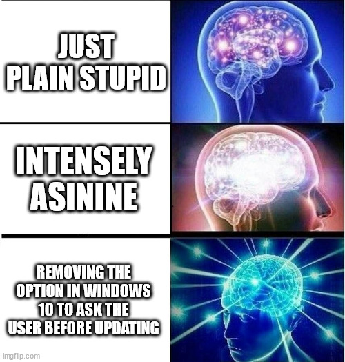 Stupid |  JUST PLAIN STUPID; INTENSELY ASININE; REMOVING THE OPTION IN WINDOWS 10 TO ASK THE USER BEFORE UPDATING | image tagged in expanding brain,windows 10,automatic updates,update,windows,10 | made w/ Imgflip meme maker