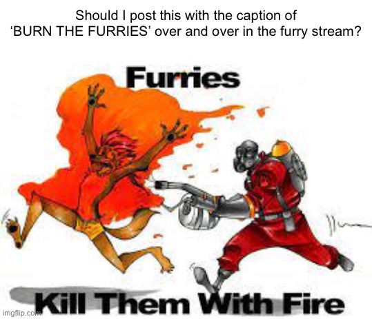 should i? or is it starting a war? | Should I post this with the caption of ‘BURN THE FURRIES’ over and over in the furry stream? | made w/ Imgflip meme maker