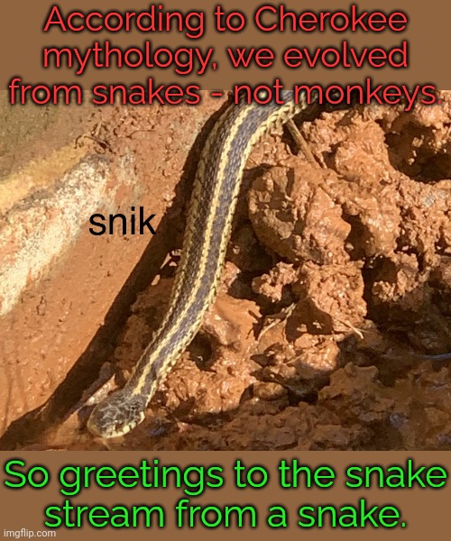 Traditionally we call a snake "Grandfather" when we encounter one. | According to Cherokee mythology, we evolved from snakes - not monkeys. So greetings to the snake
stream from a snake. | image tagged in snik,native american,reptile,animals,respect | made w/ Imgflip meme maker