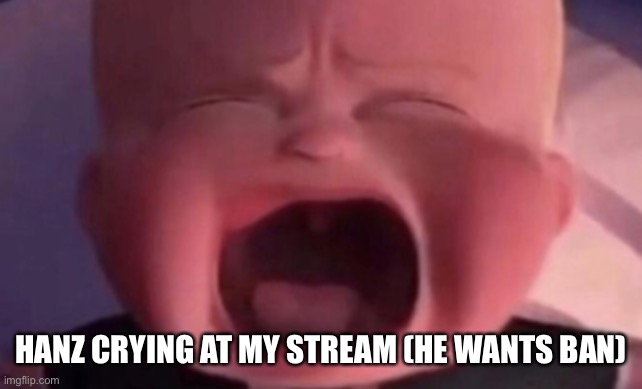 boss baby crying | HANZ CRYING AT MY STREAM (HE WANTS BAN) | image tagged in boss baby crying | made w/ Imgflip meme maker