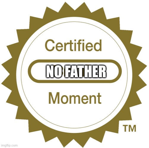 Certified bruh moment | NO FATHER | image tagged in certified bruh moment | made w/ Imgflip meme maker