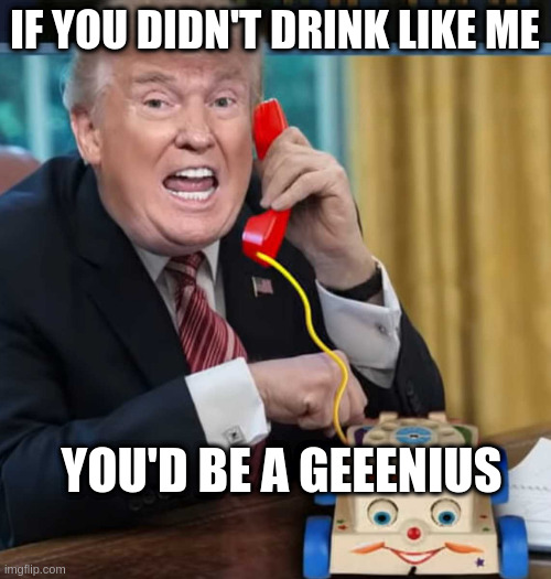 Making the case for alcoholism | IF YOU DIDN'T DRINK LIKE ME YOU'D BE A GEEENIUS | image tagged in i'm the president,rumpt | made w/ Imgflip meme maker