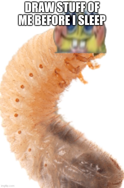 (Helm gnaw spong became insect) | DRAW STUFF OF ME BEFORE I SLEEP | image tagged in spongefly larva | made w/ Imgflip meme maker