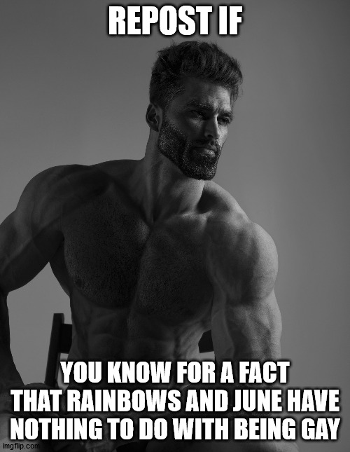 Giga Chad | REPOST IF; YOU KNOW FOR A FACT THAT RAINBOWS AND JUNE HAVE NOTHING TO DO WITH BEING GAY | image tagged in giga chad | made w/ Imgflip meme maker