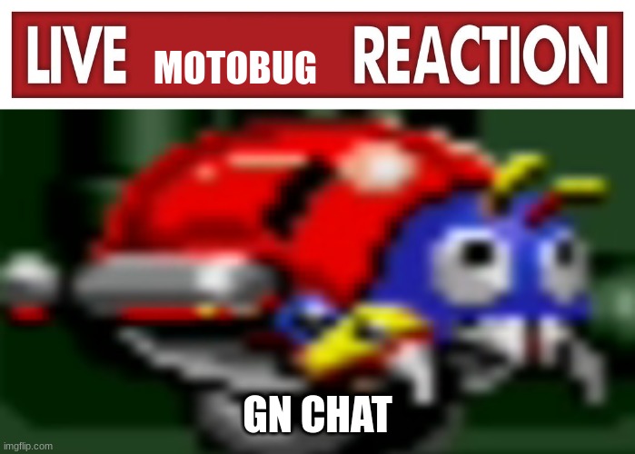 live motobug reaction | GN CHAT | image tagged in live motobug reaction | made w/ Imgflip meme maker