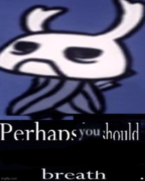 Hollow Knight "Not breathing" | image tagged in hollow knight not breathing | made w/ Imgflip meme maker