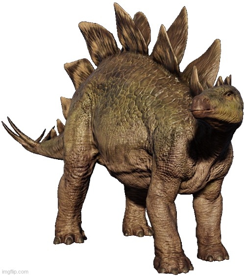 Stegosaurus 2 | image tagged in stegosaurus 2 | made w/ Imgflip meme maker