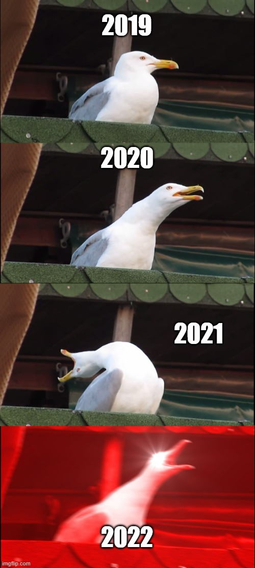 Shit | 2019; 2020; 2021; 2022 | image tagged in memes,inhaling seagull,2019,2020,2021,2022 | made w/ Imgflip meme maker