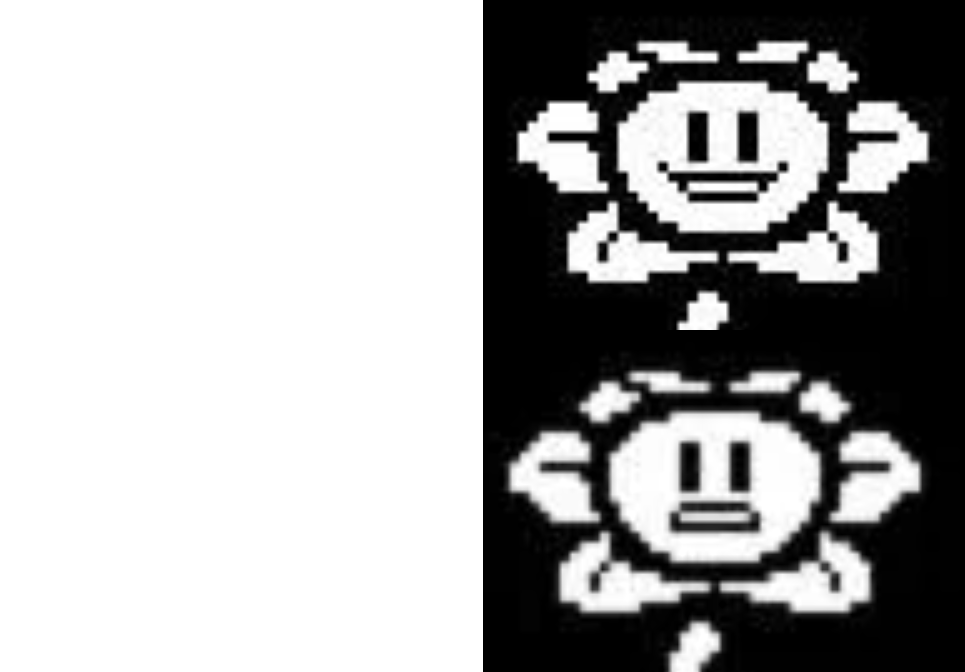 High Quality flowey smile Blank Meme Template