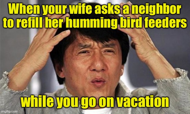 I think they’ll survive a couple of weeks without us | When your wife asks a neighbor to refill her humming bird feeders; while you go on vacation | image tagged in what the heck | made w/ Imgflip meme maker