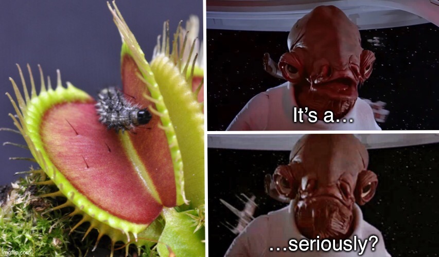It’s a Venus Flytrap! | It’s a…; …seriously? | image tagged in funny memes,its a trap,eyeroll,dad jokes | made w/ Imgflip meme maker