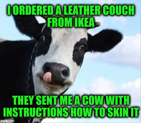 I ORDERED A LEATHER COUCH
FROM IKEA; THEY SENT ME A COW WITH
INSTRUCTIONS HOW TO SKIN IT | image tagged in ikea | made w/ Imgflip meme maker