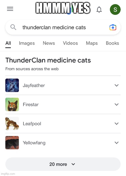 Ah yes, Firestar the medicine cat |  HMMM YES | image tagged in hmm yes the floor here is made out of floor | made w/ Imgflip meme maker