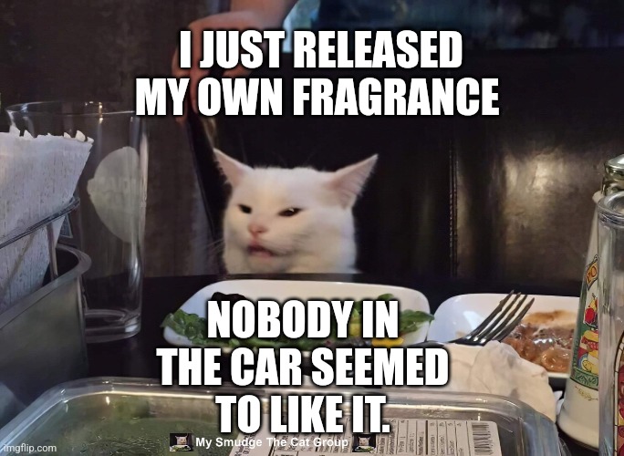 I JUST RELEASED MY OWN FRAGRANCE; NOBODY IN THE CAR SEEMED TO LIKE IT. | image tagged in smudge the cat | made w/ Imgflip meme maker