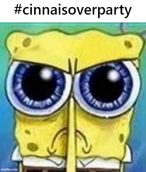 #cinnaisoverparty | #cinnaisoverparty | image tagged in angry spunch bop | made w/ Imgflip meme maker
