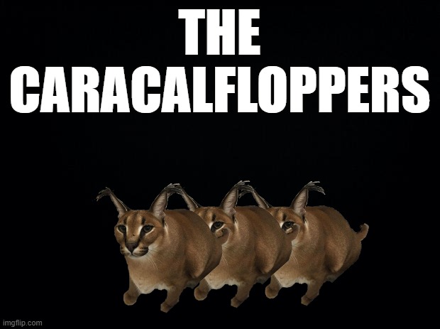 Black background | THE CARACALFLOPPERS | image tagged in black background | made w/ Imgflip meme maker