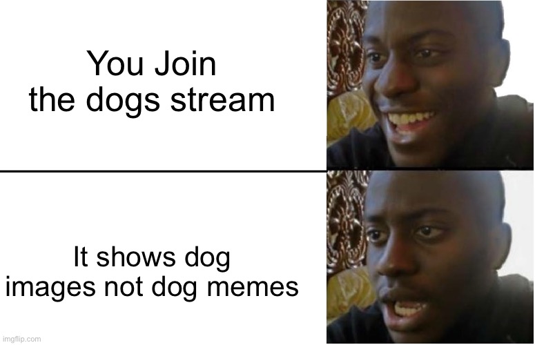 Disappointed Black Guy | You Join the dogs stream; It shows dog images not dog memes | image tagged in disappointed black guy | made w/ Imgflip meme maker