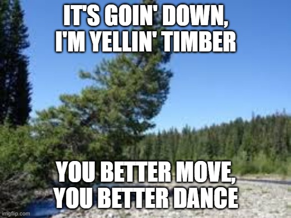 I was bored, so I made this lousy meme | IT'S GOIN' DOWN,
I'M YELLIN' TIMBER; YOU BETTER MOVE,
YOU BETTER DANCE | image tagged in falling tree,kesha,pitbull | made w/ Imgflip meme maker