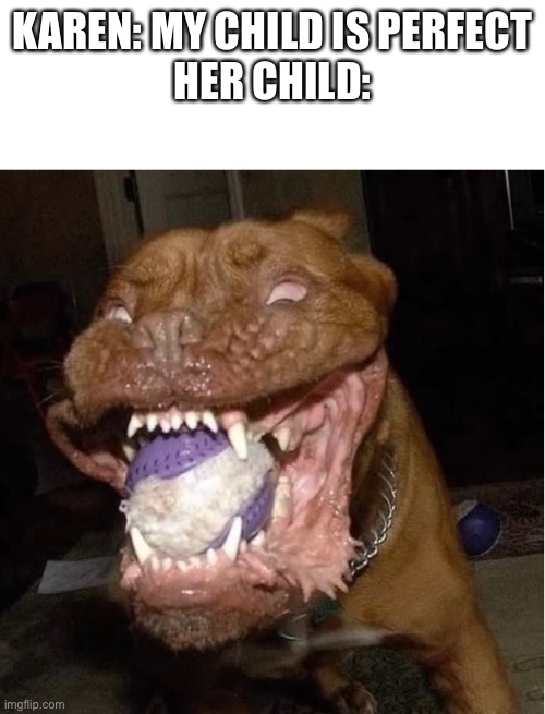 KAREN: MY CHILD IS PERFECT
HER CHILD: | made w/ Imgflip meme maker