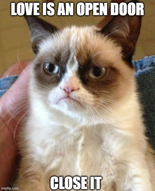 Grumpy Cat | LOVE IS AN OPEN DOOR; CLOSE IT | image tagged in memes,grumpy cat | made w/ Imgflip meme maker