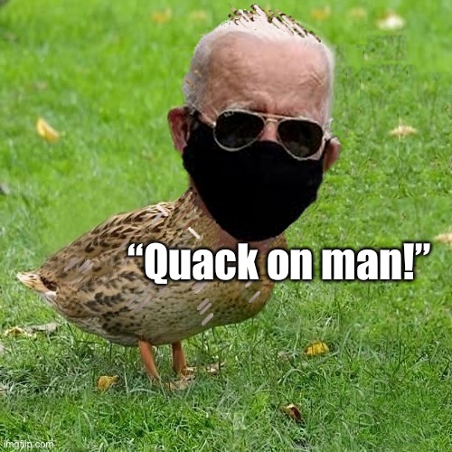 What the quack man | “Quack on man!” | image tagged in joe bidenduck black mask n sunglasses | made w/ Imgflip meme maker