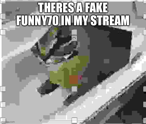 Gm | THERES A FAKE FUNNY70 IN MY STREAM | image tagged in very low quality floppa | made w/ Imgflip meme maker