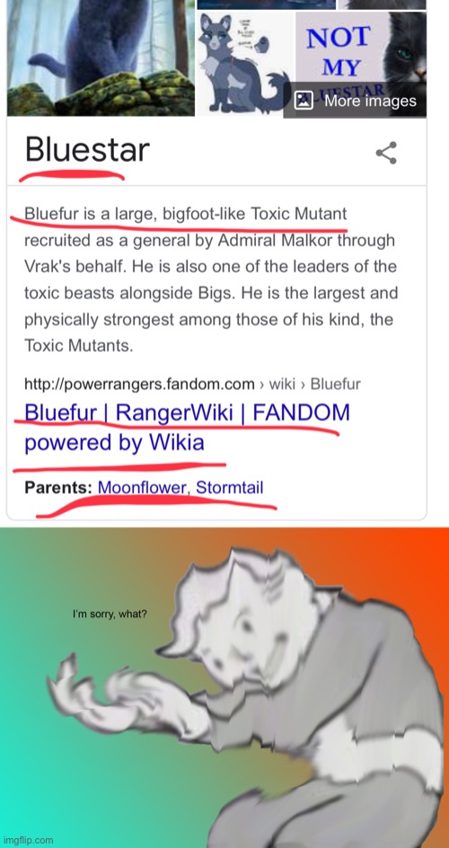 Holy father of Squirrelflight- | image tagged in i'm sorry what | made w/ Imgflip meme maker