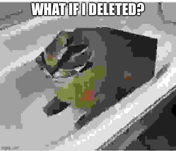 low quality floppa | WHAT IF I DELETED? | image tagged in low quality floppa | made w/ Imgflip meme maker