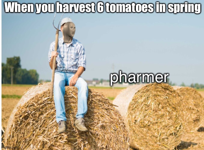 Pharmer | When you harvest 6 tomatoes in spring | image tagged in meme man pharmer,tomato,tomatoes | made w/ Imgflip meme maker