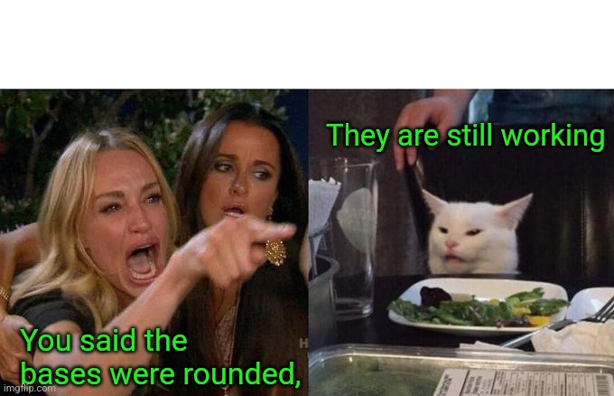 You said the bases were rounded, They are still working | image tagged in memes,woman yelling at cat | made w/ Imgflip meme maker