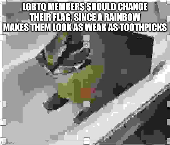 Very low quality floppa | LGBTQ MEMBERS SHOULD CHANGE THEIR FLAG, SINCE A RAINBOW MAKES THEM LOOK AS WEAK AS TOOTHPICKS | image tagged in very low quality floppa | made w/ Imgflip meme maker