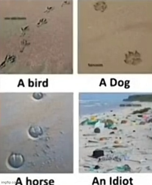 people who ruin the beach | image tagged in repost | made w/ Imgflip meme maker