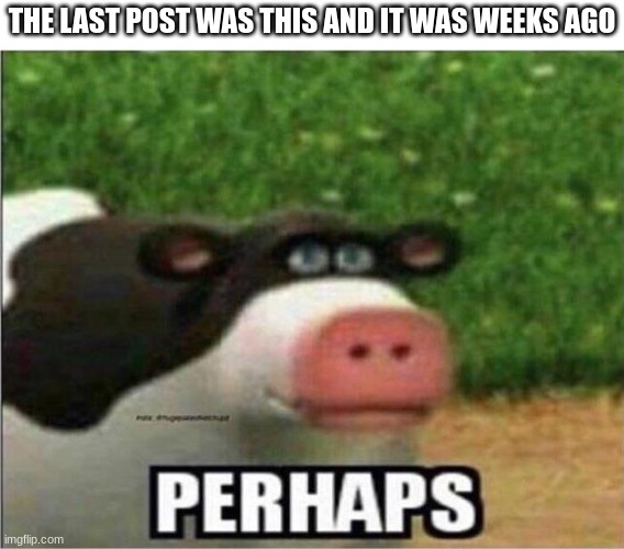 Perhaps Cow | THE LAST POST WAS THIS AND IT WAS WEEKS AGO | image tagged in perhaps cow | made w/ Imgflip meme maker