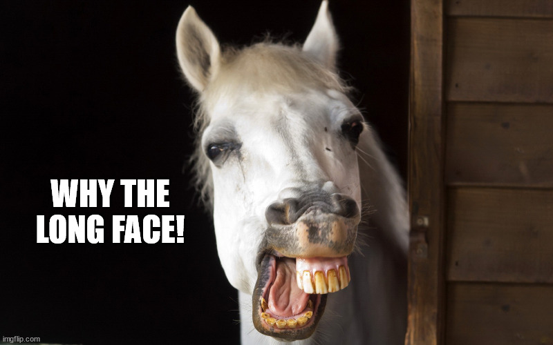 horse smile | WHY THE LONG FACE! | image tagged in horse smile | made w/ Imgflip meme maker