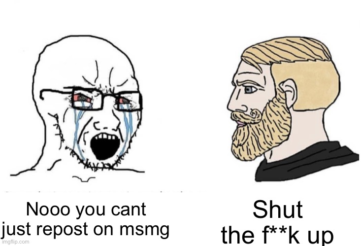 We all yelled at someone on msmg for reposting at some point | Nooo you cant just repost on msmg; Shut the f**k up | image tagged in soyboy vs yes chad | made w/ Imgflip meme maker