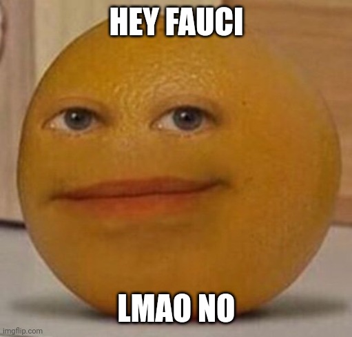 annoy orange | HEY FAUCI LMAO NO | image tagged in annoy orange | made w/ Imgflip meme maker