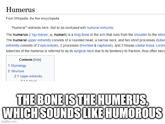 THE BONE IS THE HUMERUS, WHICH SOUNDS LIKE HUMOROUS | made w/ Imgflip meme maker
