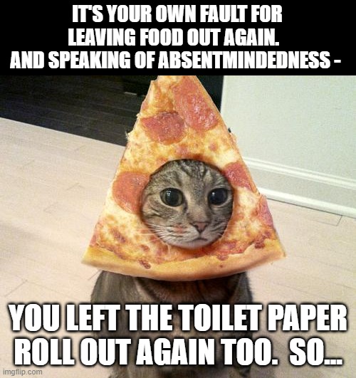 Never The Cat's Fault | IT'S YOUR OWN FAULT FOR LEAVING FOOD OUT AGAIN.  
AND SPEAKING OF ABSENTMINDEDNESS -; YOU LEFT THE TOILET PAPER ROLL OUT AGAIN TOO.  SO... | image tagged in pizza cat,memes,humor,cats,funny animals,funny memes | made w/ Imgflip meme maker