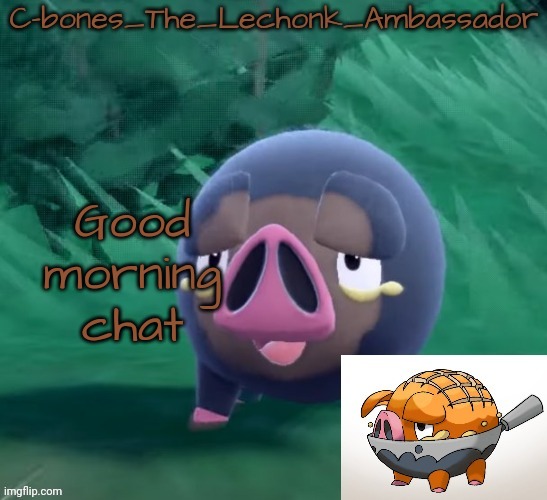 Lechonk | Good morning chat | image tagged in lechonk | made w/ Imgflip meme maker