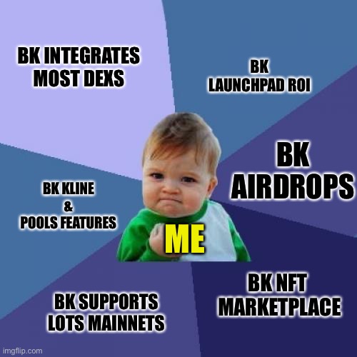 Success Kid | BK INTEGRATES
MOST DEXS; BK LAUNCHPAD ROI; BK AIRDROPS; BK KLINE
&
POOLS FEATURES; ME; BK NFT 
MARKETPLACE; BK SUPPORTS
LOTS MAINNETS | image tagged in memes,success kid,btc,metamask,bitcoin,crypto | made w/ Imgflip meme maker