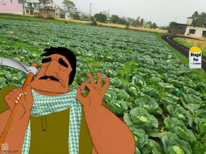 I love Farming in Bhagalpur | image tagged in farming | made w/ Imgflip meme maker