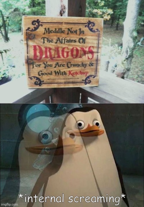 Dragons | image tagged in private internal screaming,dragon,dragons,memes,meme,ketchup | made w/ Imgflip meme maker