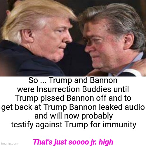 I'm Tired Of This Soap Opera.  I'd Rather Watch Dirt.  At Least There's A Chance Something Unpredictable Might Happen | So ... Trump and Bannon were Insurrection Buddies until Trump pissed Bannon off and to get back at Trump Bannon leaked audio; and will now probably testify against Trump for immunity; That's just soooo jr. high | image tagged in memes,ugh,jr high,where are the adults,trump bannon cat fight,morons voted for this | made w/ Imgflip meme maker