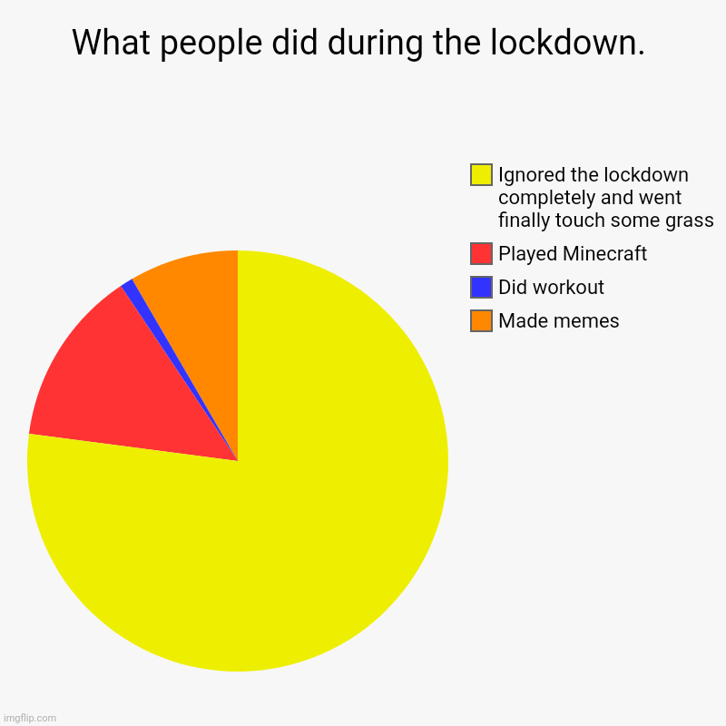 The lockdown life | What people did during the lockdown. | Made memes, Did workout, Played Minecraft, Ignored the lockdown completely and went finally touch som | image tagged in charts,pie charts | made w/ Imgflip chart maker