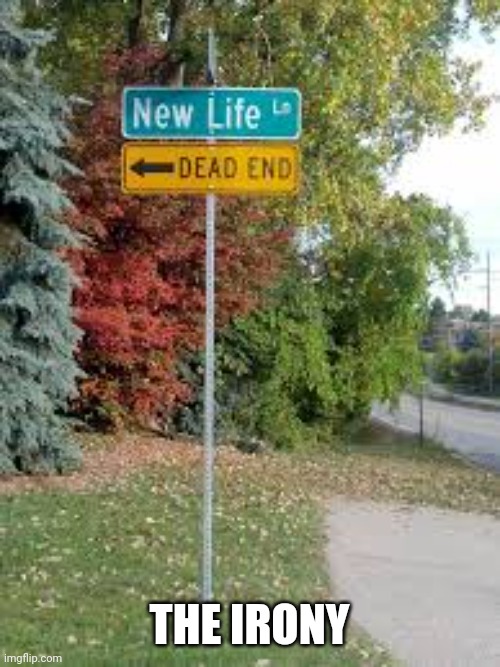 Life's end | THE IRONY | image tagged in life's end,ironic,funny,fun,memes | made w/ Imgflip meme maker