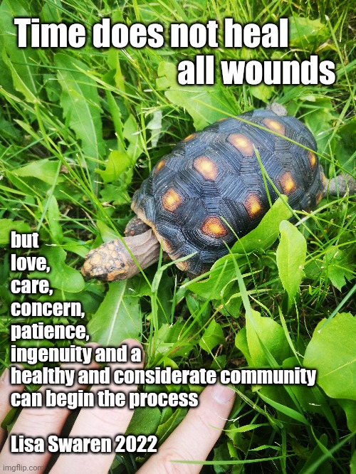 Time does not heal all wounds | Time does not heal 
                          all wounds; but 
love, 
care, 
concern, 
patience, 
ingenuity and a 
healthy and considerate community 
can begin the process                    
 
Lisa Swaren 2022 | image tagged in healing,community,love,patience,care,start | made w/ Imgflip meme maker