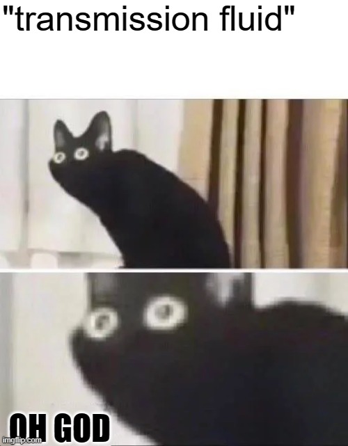 Oh No Black Cat | "transmission fluid" OH GOD | image tagged in oh no black cat | made w/ Imgflip meme maker