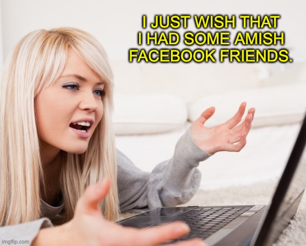 Amish | I JUST WISH THAT I HAD SOME AMISH FACEBOOK FRIENDS. | image tagged in frustrated hot computer girl | made w/ Imgflip meme maker