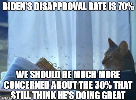 Cat newspaper | BIDEN'S DISAPPROVAL RATE IS 70% WE SHOULD BE MUCH MORE CONCERNED ABOUT THE 30% THAT STILL THINK HE'S DOING GREAT | image tagged in cat newspaper | made w/ Imgflip meme maker
